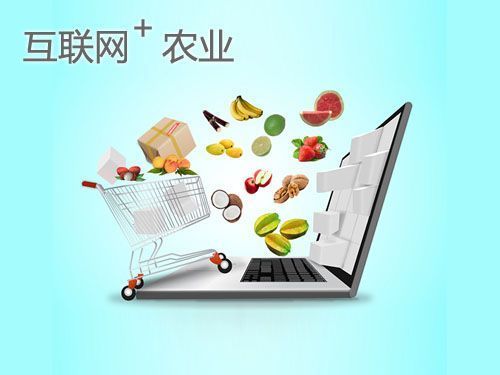 农产品电商市场到底有多大 为什么说电子商务师是农民的致富关键？